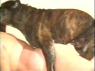 Sexy BBW housewife enjoys dogâ€™s stiff cock inside her pussy