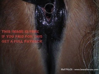 Zoophile performs various dirty things with attractive pony