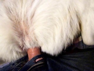 Amateur POV video in which man anally penetrates own hairy dog