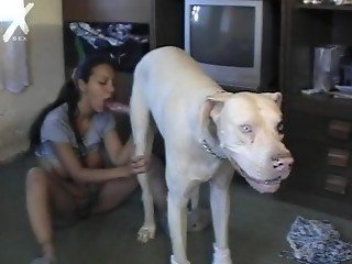 Lonely pregnant babe wants sex and uses dog for this purpose