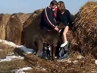 Nerd girls love nothing better than being fucked by guys and their dogs